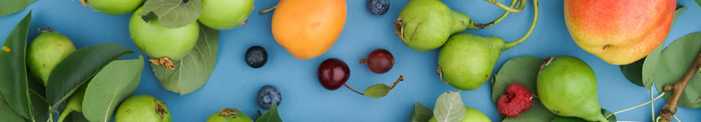 fruit and leaves